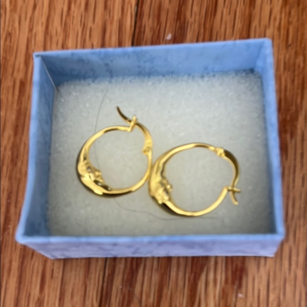Elegant Gold Hoop Earrings